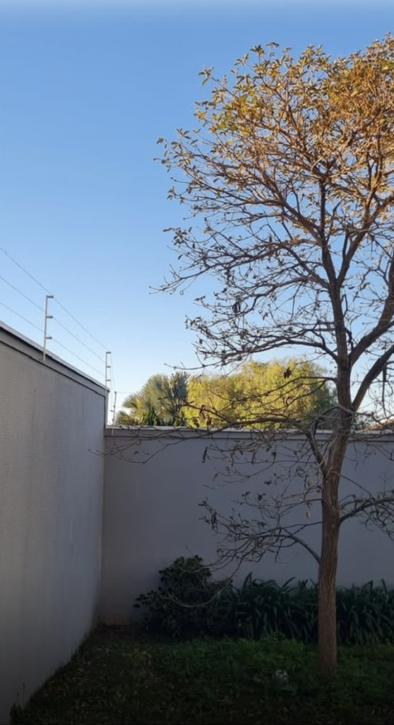 Instalação real de contenção no muro de uma residência com jardim e céu azul